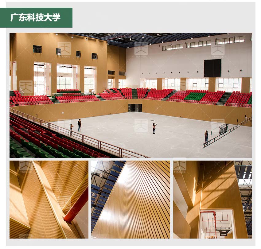 多功能厅槽木吸音板体育馆工程案例