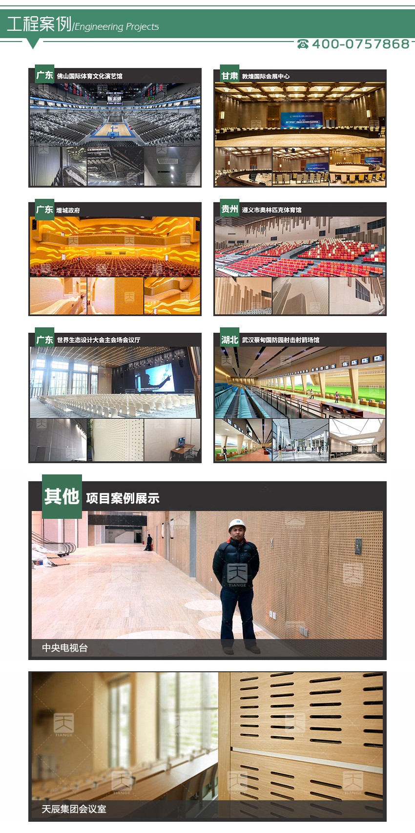 音乐厅孔木吸音板工程案例