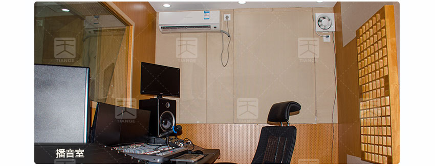 广东天戈吸音板厂家