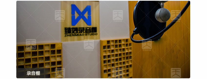 广东天戈吸音板厂家