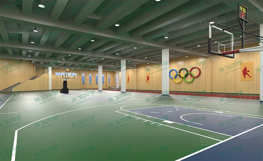 湖南长沙财经学院体育馆声学设计工程