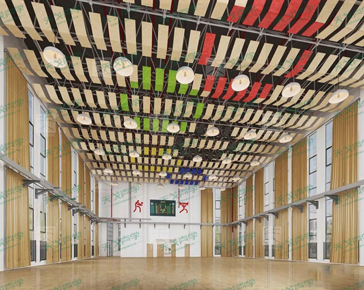 安徽合肥和平小学体育馆声学设计工程