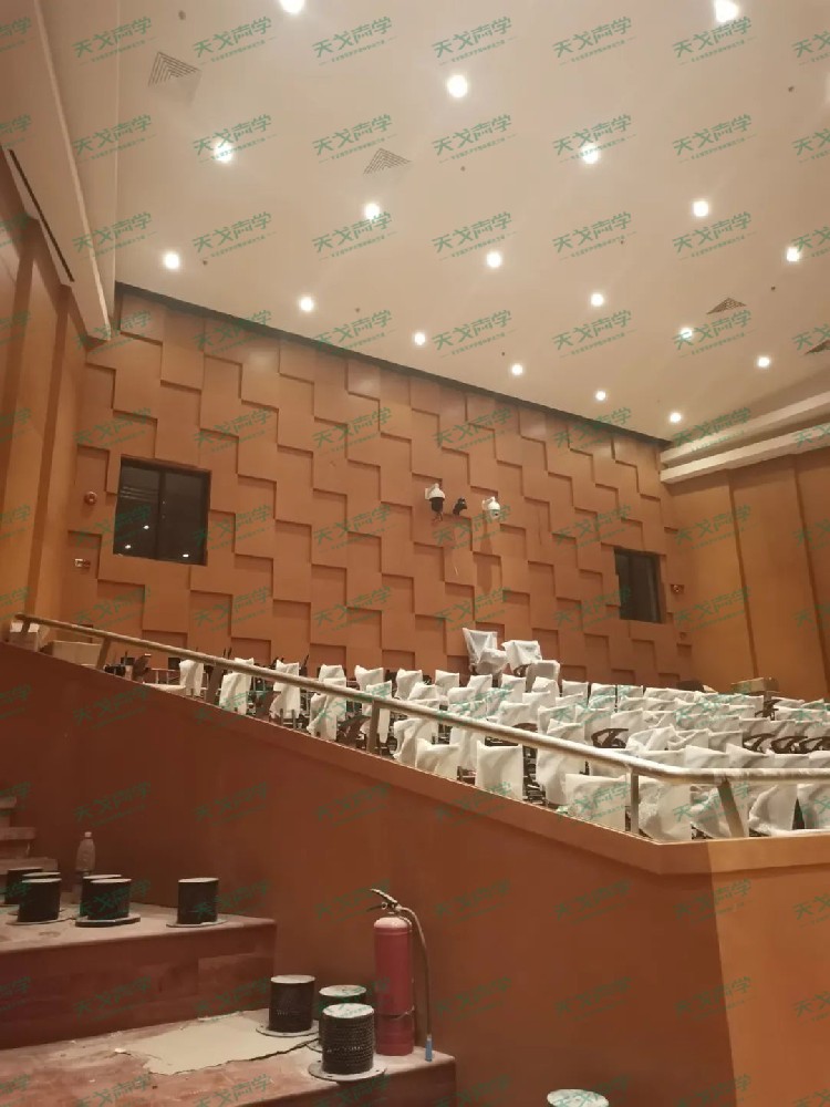 广东深圳大剧院声学设计工程